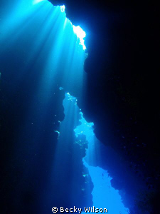 Cave Light, Red Sea, Sharm El Sheik. by Becky Wilson 